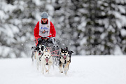 p-f.ch_120217_1333_2204_1D