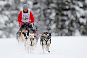 p-f.ch_120217_1333_2207_1D