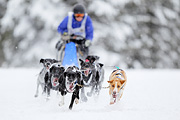 p-f.ch_120217_1337_2228_1D