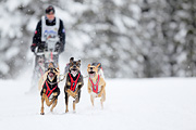 p-f.ch_120217_1339_2237_1D