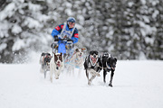 p-f.ch_120217_1343_2250_1D