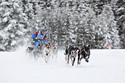 p-f.ch_120217_1343_2256_1D