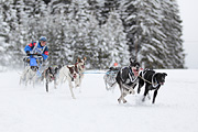 p-f.ch_120217_1343_2261_1D