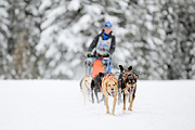 p-f.ch_120217_1353_2305_1D