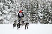 p-f.ch_120217_1355_2311_1D