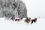 p-f.ch_120217_1358_2324_1D