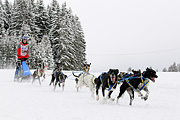 p-f.ch_120217_1359_2336_1D