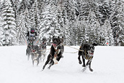 p-f.ch_120217_1401_2344_1D