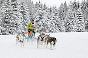 p-f.ch_120217_1404_2348_1D