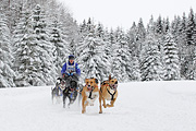 p-f.ch_120217_1405_2355_1D