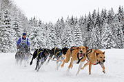 p-f.ch_120217_1405_2360_1D