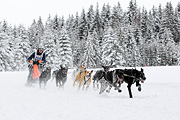 p-f.ch_120217_1407_2369_1D