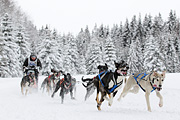 p-f.ch_120217_1411_2384_1D