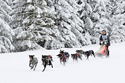 p-f.ch_120217_1422_2417_1D