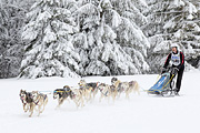 p-f.ch_120217_1424_2437_1D