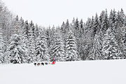 p-f.ch_120217_1425_2441_1D
