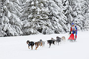 p-f.ch_120217_1425_2449_1D