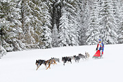 p-f.ch_120217_1425_2457_1D