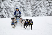 p-f.ch_120217_1428_2460_1D