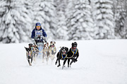 p-f.ch_120217_1428_2462_1D