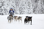 p-f.ch_120217_1428_2467_1D
