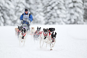 p-f.ch_120217_1443_2479_1D