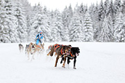 p-f.ch_120217_1447_2487_1D