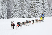 p-f.ch_120217_1452_2529_1D