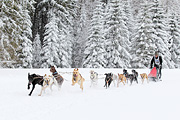 p-f.ch_120217_1454_2539_1D