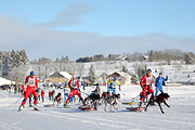 p-f.ch_120218_0915_2641_1D