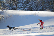 p-f.ch_120218_0916_2654_1D
