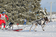 p-f.ch_120218_0924_2661_1D