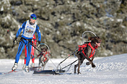 p-f.ch_120218_0924_2668_1D