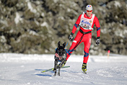 p-f.ch_120218_0934_2689_1D