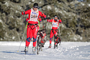 p-f.ch_120218_0934_2703_1D