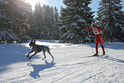 p-f.ch_120218_0943_2766_1D