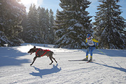 p-f.ch_120218_0944_2781_1D