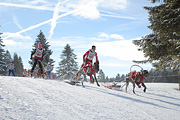 p-f.ch_120218_1021_2803_1D