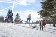 p-f.ch_120218_1021_2809_1D