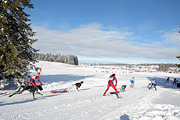 p-f.ch_120218_1021_2813_1D