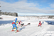 p-f.ch_120218_1021_2816_1D