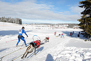 p-f.ch_120218_1021_2822_1D