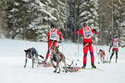 p-f.ch_120218_1031_2843_1D