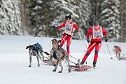 p-f.ch_120218_1031_2847_1D