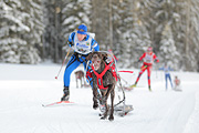 p-f.ch_120218_1031_2859_1D