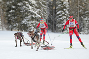 p-f.ch_120218_1031_2862_1D