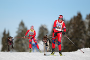 p-f.ch_120218_1042_2913_1D