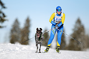 p-f.ch_120218_1044_2936_1D