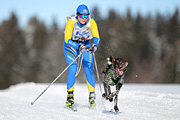 p-f.ch_120218_1054_3031_1D