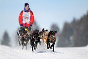 p-f.ch_120218_1133_3053_1D